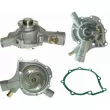 MAHLE CP 220 000P - Pompe à eau