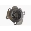 MAHLE CP 25 000P - Pompe à eau
