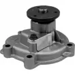 MAHLE CP 272 000P - Pompe à eau