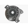 MAHLE CP 31 000P - Pompe à eau