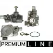MAHLE CP 317 000P - Pompe à eau