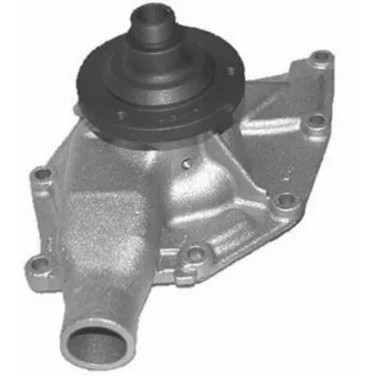 Pompe à eau MAHLE OEM RTC6395
