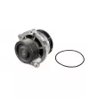 MAHLE CP 447 000P - Pompe à eau