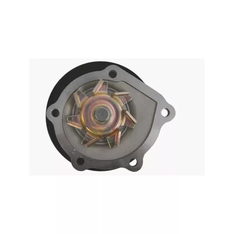 Pompe à eau MAHLE CP 97 000P - Visuel 2