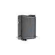 MAHLE CR 2404 000P - Radiateur, refroidissement du moteur