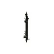 MAHLE CR 774 000P - Radiateur, refroidissement du moteur