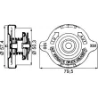 MAHLE CRB 14 000P - Bouchon de radiateur