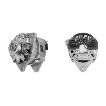 Alternateur MAHLE OEM EGL225R
