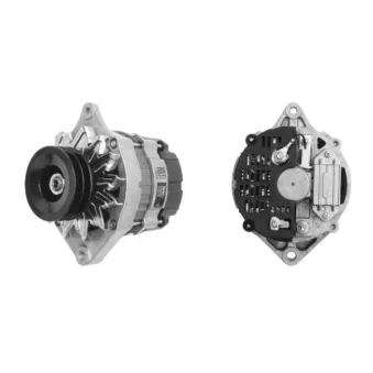 Alternateur MAHLE OEM 7700009011