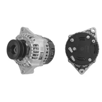 MAHLE MG 81 - Alternateur