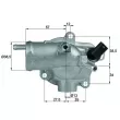 MAHLE TH 13 92 - Thermostat d'eau