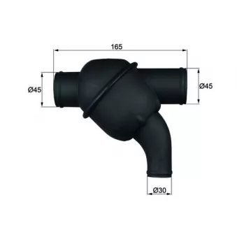 Thermostat d'eau MAHLE TH 17 79 pour IVECO EUROTRAKKER MP 190 E 37 W - 370cv