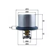 MAHLE THD 5 75 - Thermostat d'eau