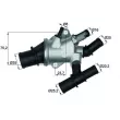 MAHLE TI 155 88 - Thermostat d'eau