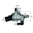 Thermostat d'eau MAHLE [TI 174 88]