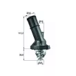 MAHLE TI 202 82 - Thermostat d'eau