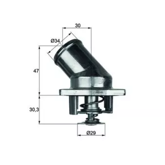 Thermostat d'eau MAHLE OEM 90486128