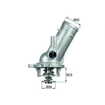 MAHLE TM 10 87 - Thermostat d'eau