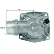 MAHLE TM 16 105 - Thermostat d'eau