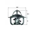 Thermostat d'eau MAHLE [TX 1 75D]