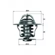 MAHLE TX 11 92D - Thermostat d'eau