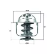 MAHLE TX 176 82D - Thermostat d'eau