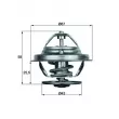 MAHLE TX 19 75D - Thermostat d'eau