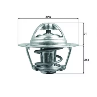 Thermostat d'eau MAHLE OEM 8200772994