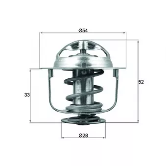 Thermostat d'eau MAHLE OEM 2120005D12