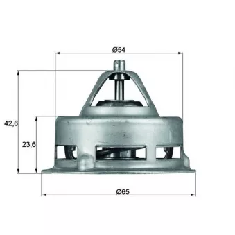 MAHLE TX 2 75 - Thermostat d'eau