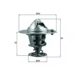 MAHLE TX 206 88D - Thermostat d'eau