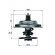 MAHLE TX 23 75D - Thermostat d'eau