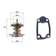 MAHLE TX 266 79D - Thermostat d'eau