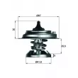 MAHLE TX 29 71D - Thermostat d'eau