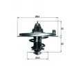 MAHLE TX 36 80D - Thermostat d'eau