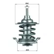 MAHLE TX 59 83 - Thermostat d'eau