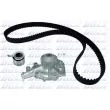 DOLZ KD187 - Pompe à eau + kit de courroie de distribution