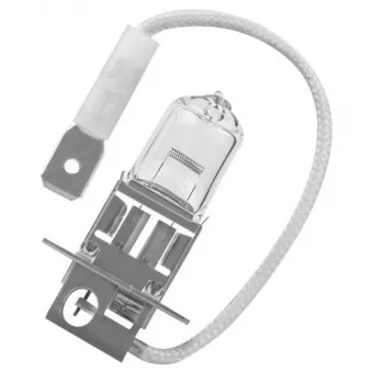 Ampoule, projecteur antibrouillard SCT GERMANY 202723 pour DUCATI 998 998 S - 136cv