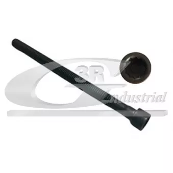 3RG 99702 - Vis, support pour controleur d'injecteurs