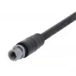 CORTECO 19036322 - Flexible de frein
