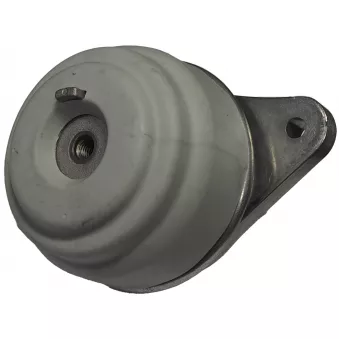 Support moteur CORTECO 49117575