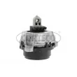 CORTECO 49377202 - Support moteur