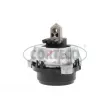 CORTECO 49377204 - Support moteur