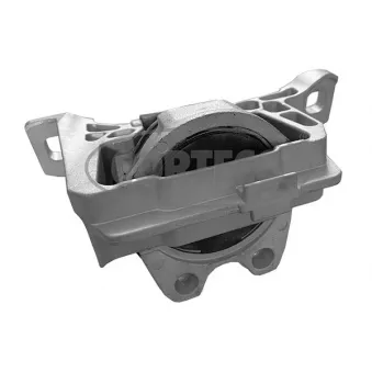 Support moteur CORTECO 49462223 pour FORD C-MAX 2.0 CNG - 145cv