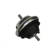 AUTOMEGA 130112010 - Support moteur