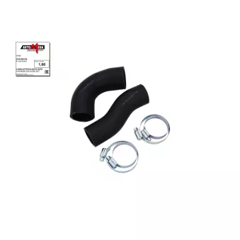 AUTOMEGA 274739110 - Gaine de suralimentation