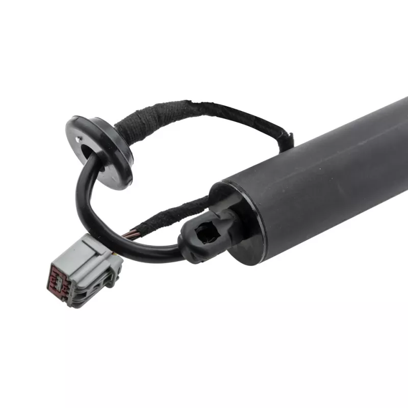 Moteur électrique, hayon arrière gauche TEKNÖR AE-CH-066 - Visuel 1