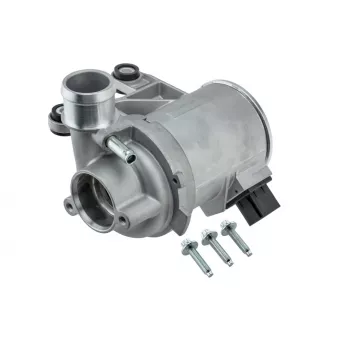 Pompe à eau, refroidissement du moteur SAMAXX OEM 55086