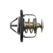 TEKNÖR CTM-VV-000 - Thermostat d'eau