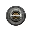 TEKNÖR CTM-VV-000 - Thermostat d'eau